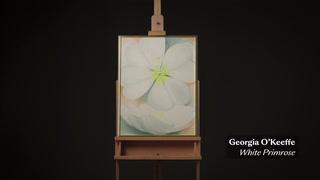 Thumbnail of GEORGIA O'KEEFFE (1887-1986) White Primrose 26 x 20 in (66 x 50.8 cm) (Painted in 1947) video 1