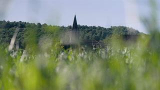 Thumbnail of A MAGNIFICENT AND HIGHLY IMPORTANT GE MALLOW-SHAPED BRUSH WASHER Song/Yuan Dynasty video 1